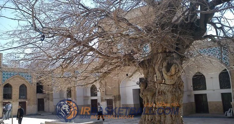 تاریخچه بسکتبال استان‌ها