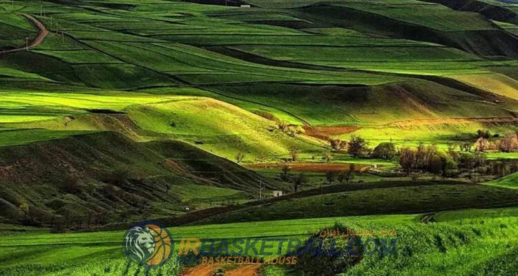 تاریخچه بسکتبال استان‌ها