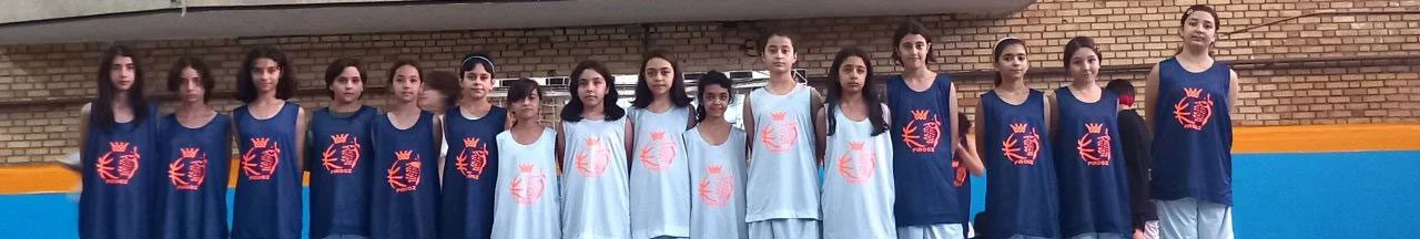 خانه بسکتبال ایران